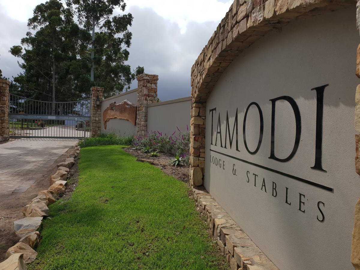 Tamodi Lodge Plettenberg Bay Zewnętrze zdjęcie