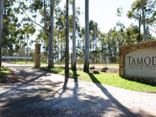 Tamodi Lodge Plettenberg Bay Zewnętrze zdjęcie